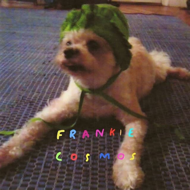 album cover for Zentropy (2014) by Frankie Cosmos