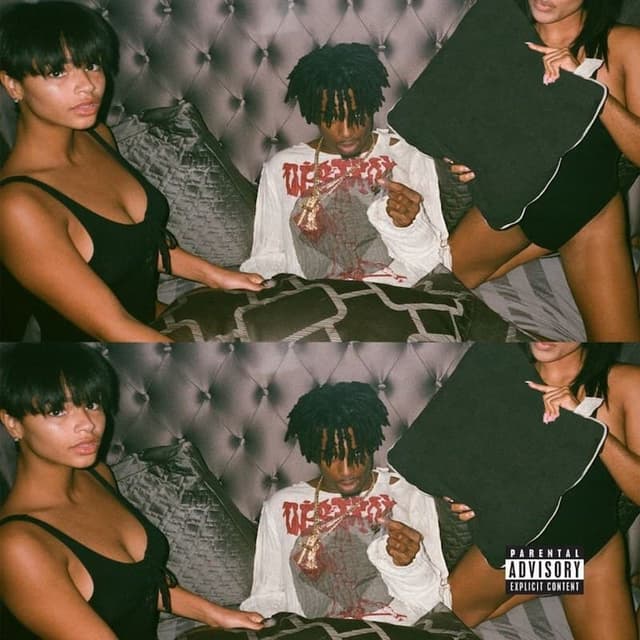 album cover for Playboi Carti (2017) by Playboi Carti