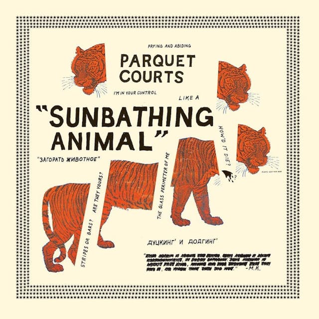 album cover for Sunbathing Animal (2014) by Parquet Courts