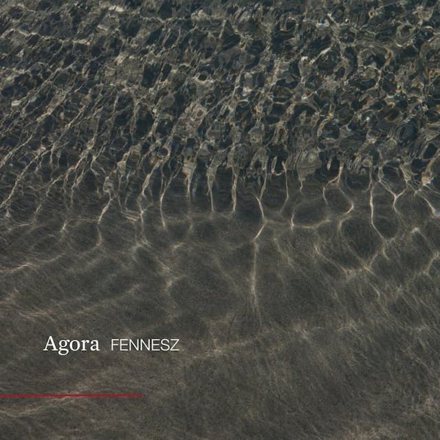 album cover for Agora (2019) by Fennesz