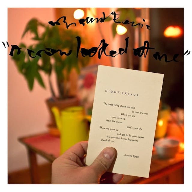 album cover for A Crow Looked at Me (2017) by Mount Eerie