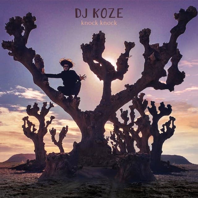 album cover for Knock Knock (2018) by DJ Koze