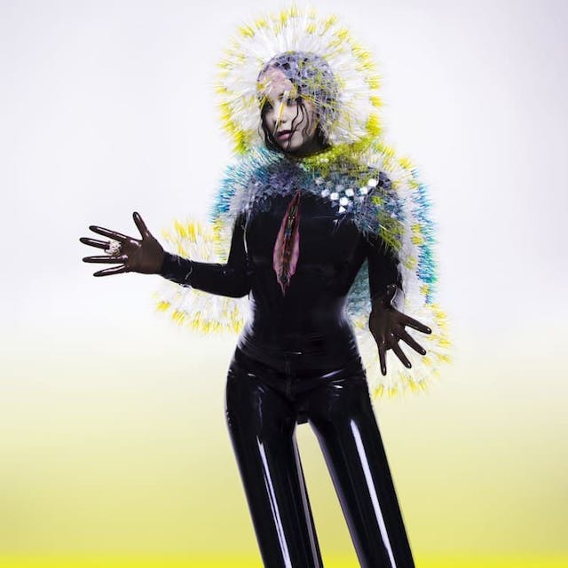 album cover for Vulnicura (2015) by Björk